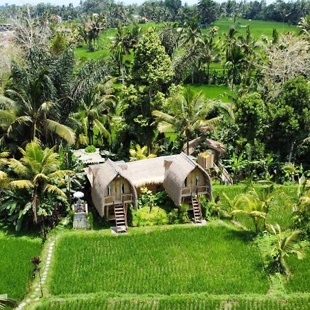 Kawig Bamboo House - Ricefield View, Eco Bamboo Home Tampaksiring Eksteriør billede